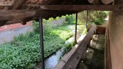 Photo envoyée par fouchard jean-paul le 28/06/2019 à 09h50