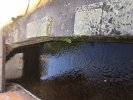 Photo envoyée par BRAU Jean Jacques le 14/05/2019 à 22h49