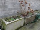 Lavoir de VILLEURBANNE