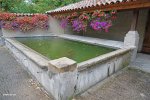 Lavoir de DARDILLY