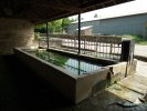 Lavoir de AUTREY LES CERRE