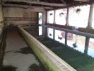 Lavoir de VEZET