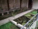 Lavoir de BARD LES PESMES