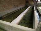 Lavoir de BONBOILLON