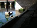Lavoir de MAGNY VERNOIS