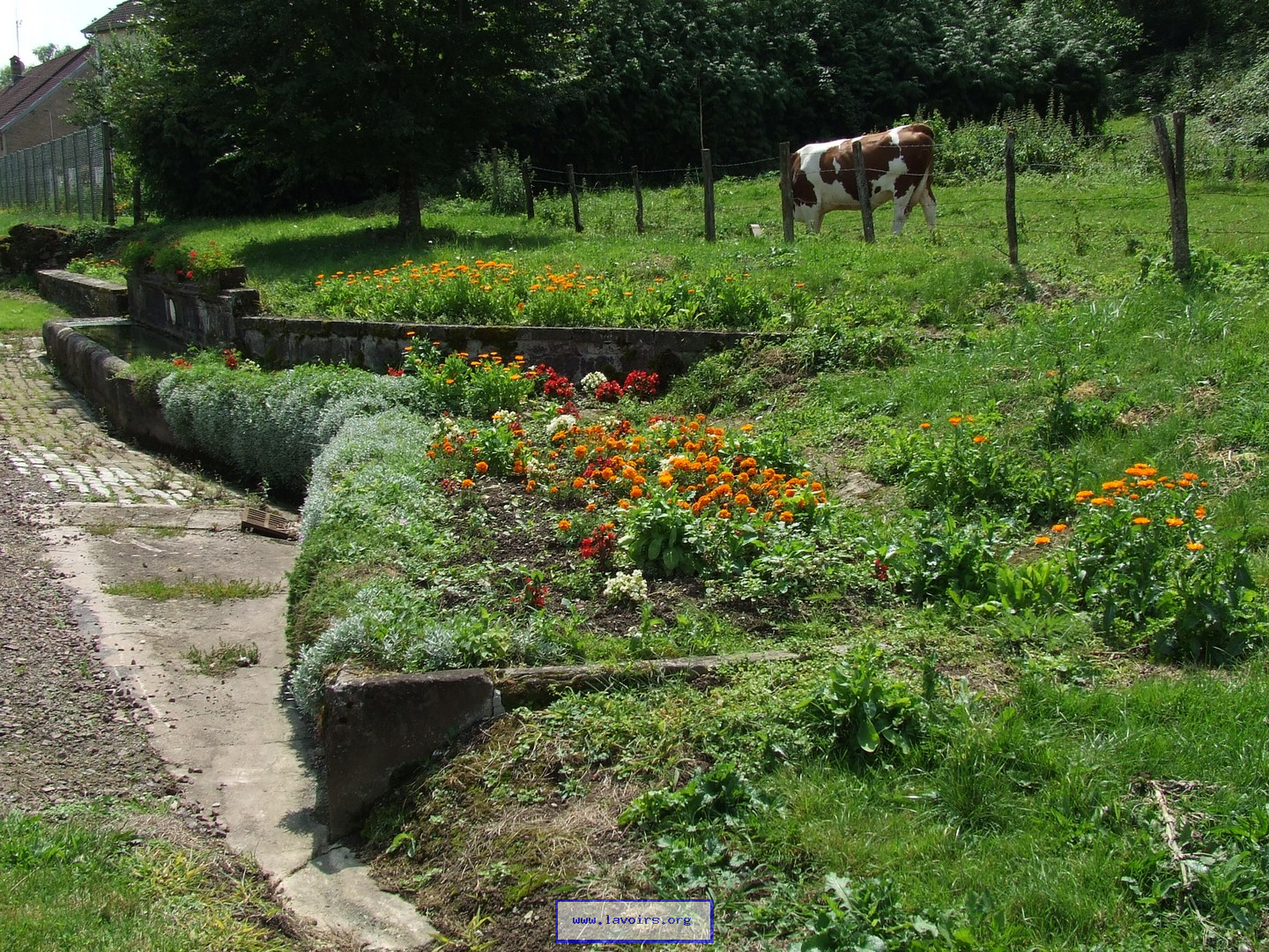 Lavoirs de HauteSaône (70)