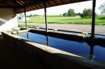 Lavoir de LA CORBIERE
