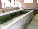 Lavoir de BOURBEVELLE