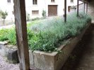 Lavoir de BOUSSERAUCOURT