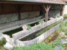 Lavoir de MONTCOURT