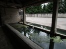 Lavoir de GEZIER ET FONTENELAY
