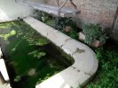 Lavoir de STE REINE