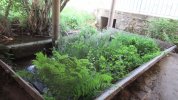 Lavoir de SEMUR EN BRIONNAIS