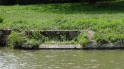 Lavoir de REMIGNY