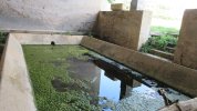 Lavoir de MAZILLE