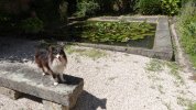 Lavoir de COUCHES