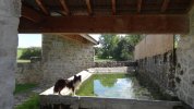 Lavoir de PERREUIL