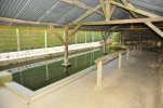Lavoir de NEUVY EN CHAMPAGNE