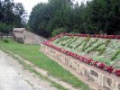 Lavoir de VOLNAY