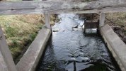 Lavoir de ST PIERRE D ALBIGNY