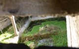 Lavoir de SAINTS