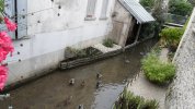 Lavoir de PROVINS