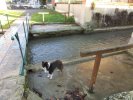 Lavoir de FLAGY