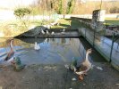 Lavoir de FLAGY