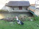 Lavoir de FLAGY