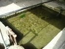 Lavoir de CHARTRETTES