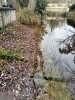 Lavoir de MAUZE SUR LE MIGNON