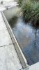 Lavoir de ST SYMPHORIEN