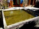 Lavoir de LARROQUE