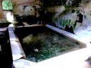 Lavoir de ST LIEUX LES LAVAUR