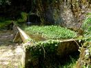 Lavoir de ST MICHEL DE VAX