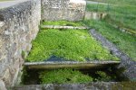 Lavoir de ST MARTIN LAGUEPIE