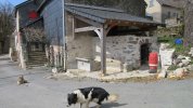 Lavoir de MURAT SUR VEBRE