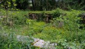 Photo envoyée par Matie le 29/04/2019 à 13h02