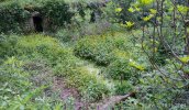Photo envoyée par Matie le 29/04/2019 à 13h02