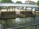 Lavoir de L ISLE SUR LA SORGUE