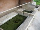 Lavoir de GARGAS
