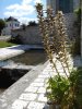 Lavoir de LESIGNY