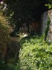 Photo envoyée par MariePierre le 08/09/2016 à 14h31
