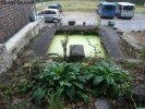 Photo envoyée par Daniel GASNIER le 19/09/2016 à 22h20
