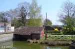 Lavoir de LA FERTE LOUPIERE