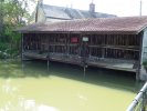 Lavoir de ST MARTIN DES CHAMPS