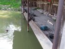 Lavoir de ST MARTIN DES CHAMPS