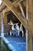 Lavoir de DOMECY SUR CURE