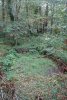 Lavoir de SOUGERES SUR SINOTTE