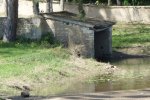 Lavoir de CHATEL CENSOIR